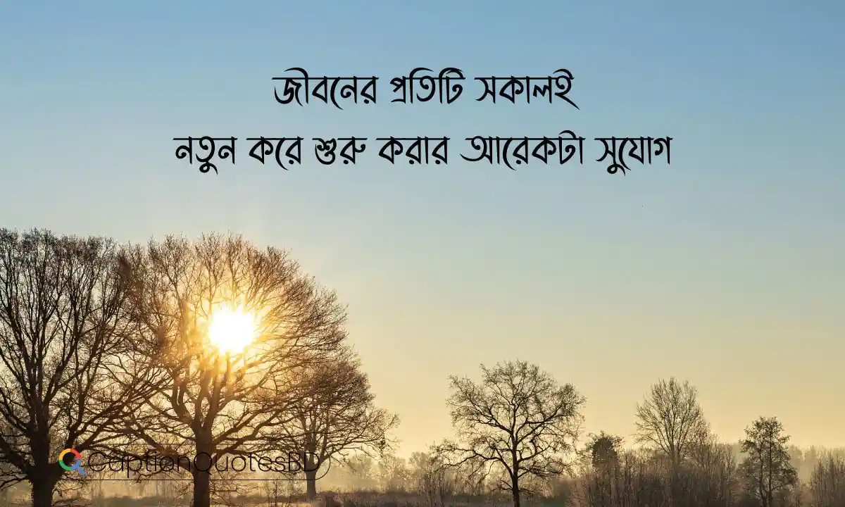 ক্যাপশন