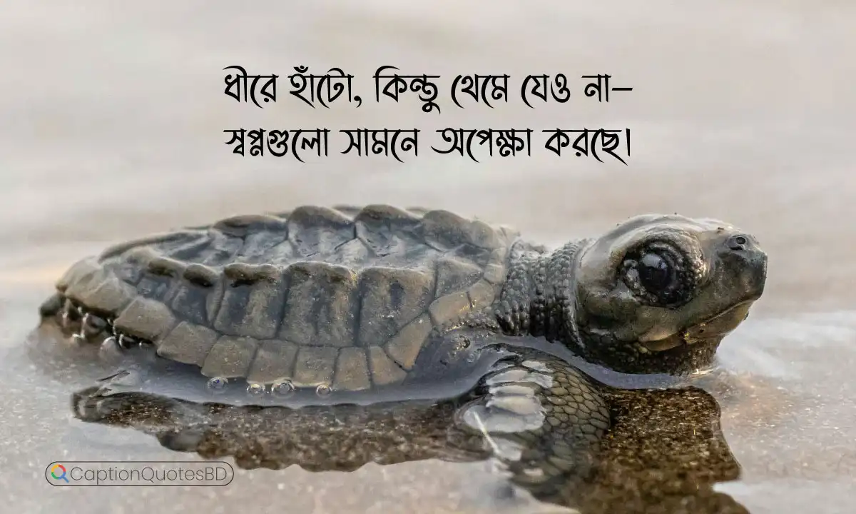 caption in bangla