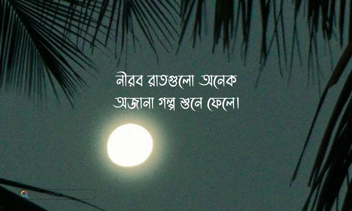 রাতের বাংলা ক্যাপশন