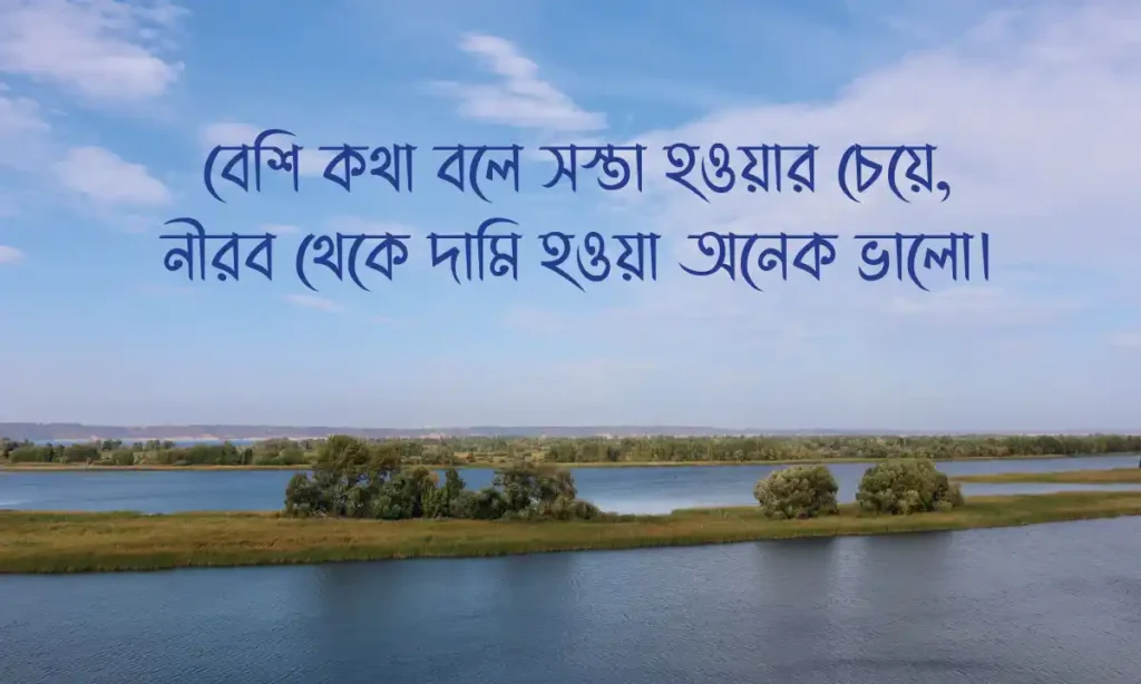 শর্ট ক্যাপশন ও স্ট্যাটাস