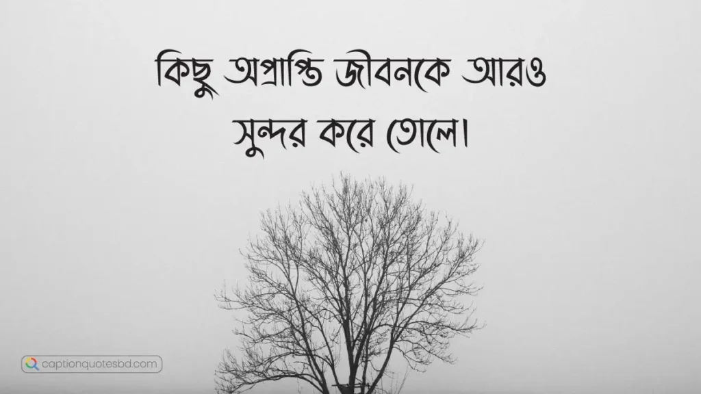 ফেসবুক বাংলা স্ট্যাটাস