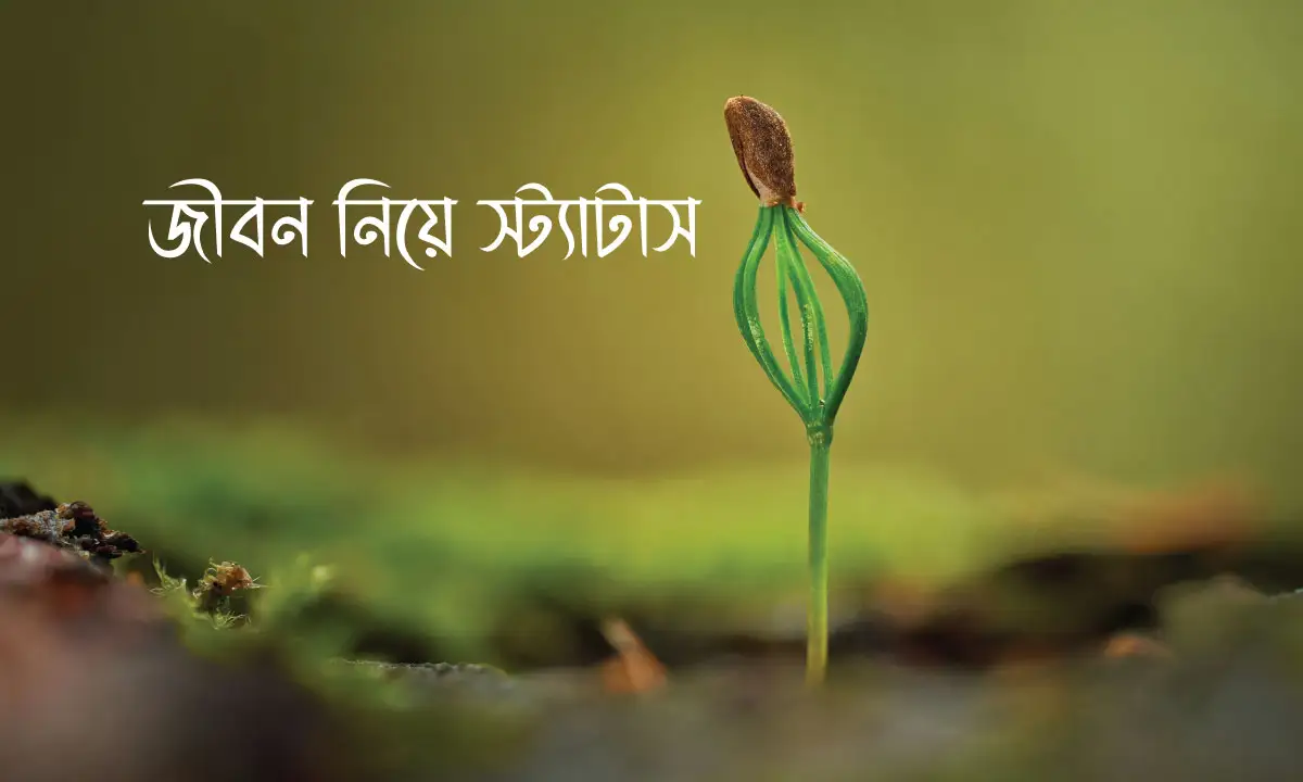 জীবন নিয়ে স্ট্যাটাস