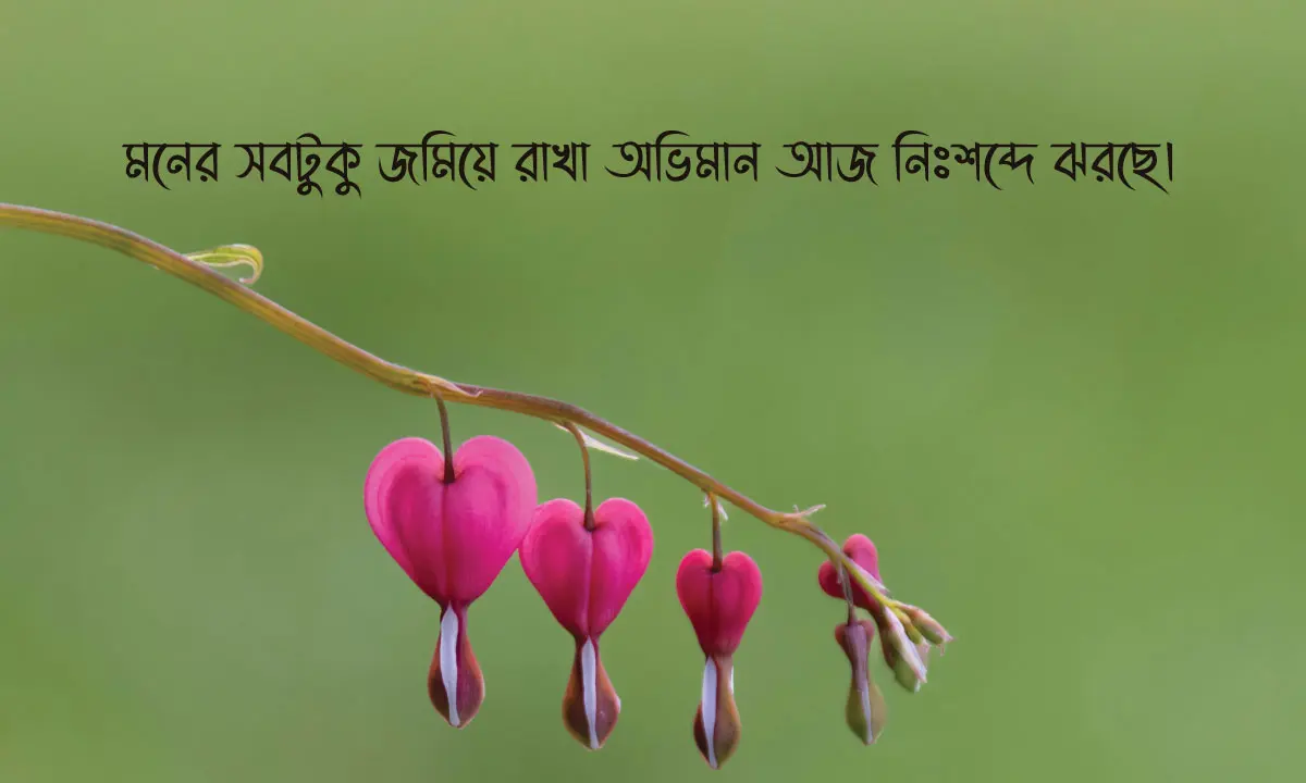 কষ্টের স্ট্যাটাস ও ক্যাপশন ও হৃদয় স্পর্শ করা কষ্টের উক্তি