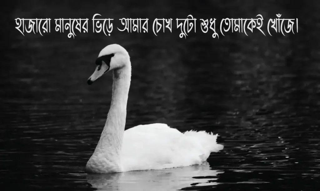 সেরা 100+ রোমান্টিক ফেসবুক ক্যাপশন