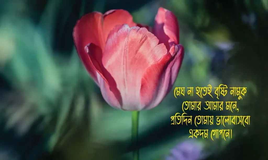 রোমান্টিক ফেসবুক ক্যাপশন ও ভালোবাসার উক্তি ও ছন্দ