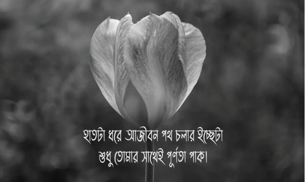 রোমান্টিক ফেসবুক ক্যাপশন ও রোমান্টিক ফেসবুক স্ট্যাটাস