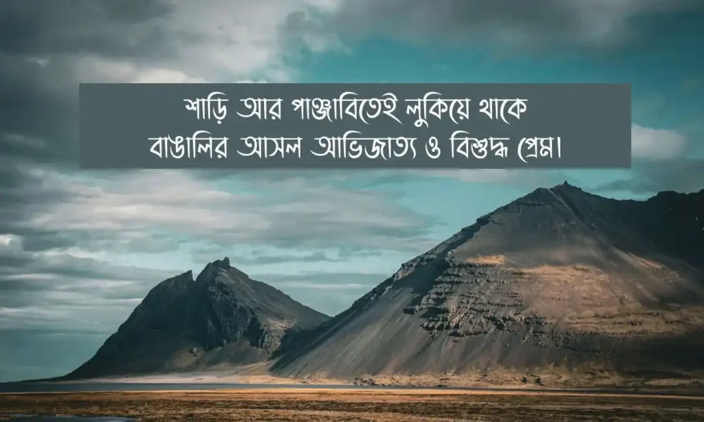 শাড়ি ও পাঞ্জাবি লুকের ক্যাপশন ও পাঞ্জাবি লুকের স্ট্যাটাস
