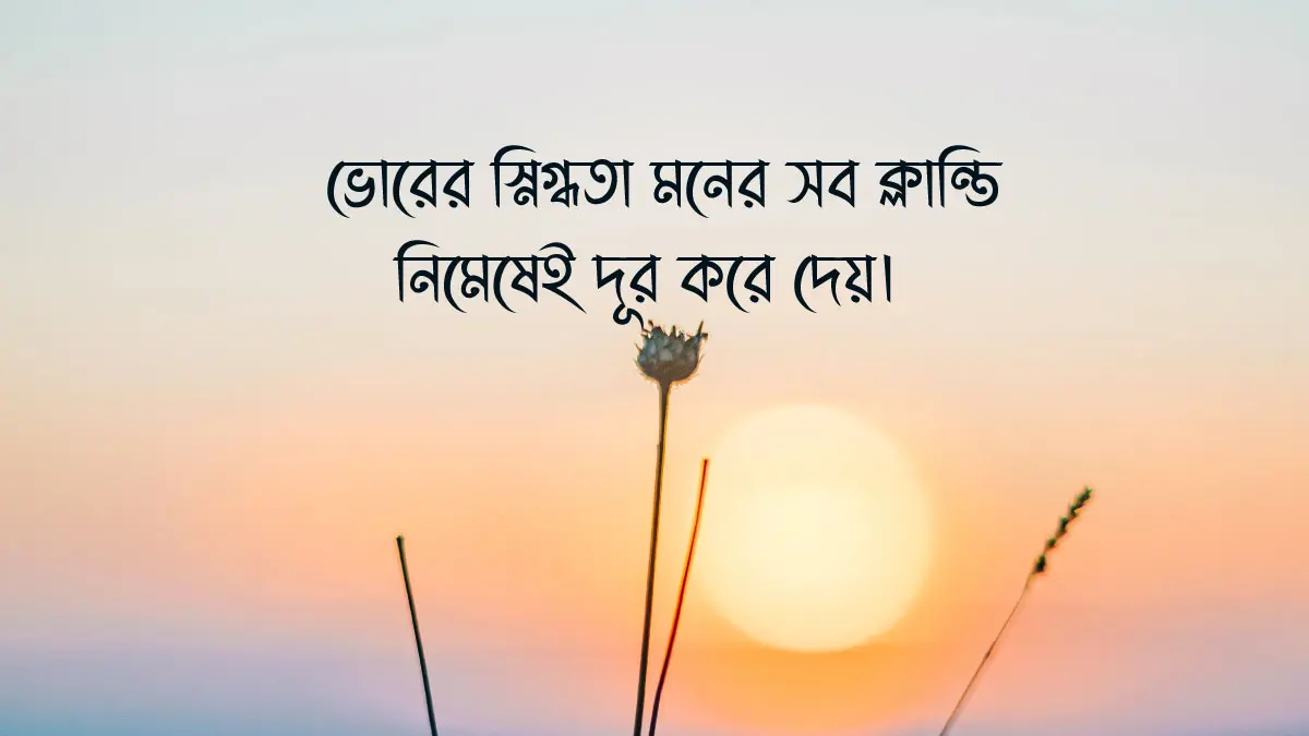 শুভ সকাল ক্যাপশন