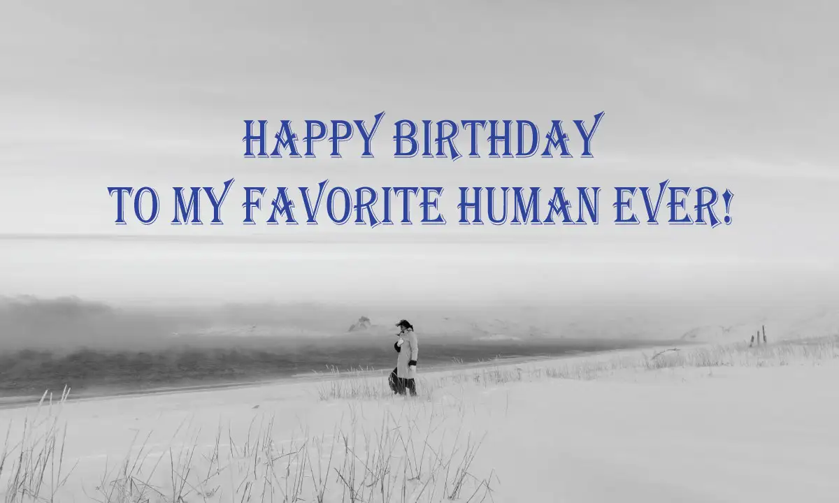 জন্মদিনের শুভেচ্ছা  ও Best Birthday Collection 2026